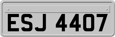 ESJ4407