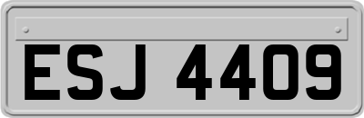 ESJ4409