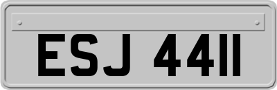 ESJ4411