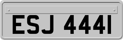 ESJ4441