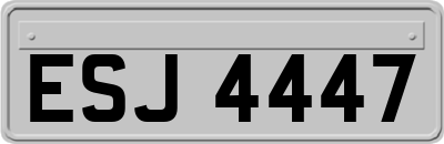 ESJ4447