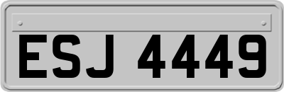 ESJ4449