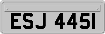 ESJ4451
