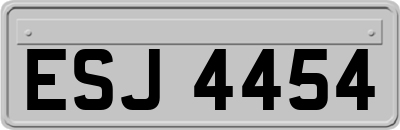 ESJ4454