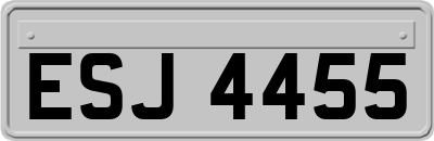 ESJ4455