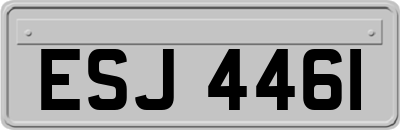 ESJ4461