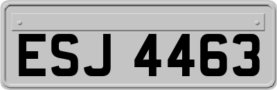 ESJ4463