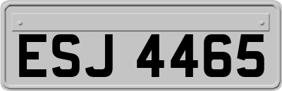 ESJ4465