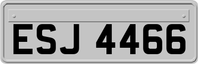 ESJ4466