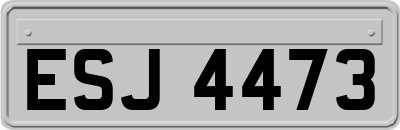 ESJ4473