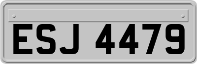 ESJ4479