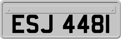 ESJ4481