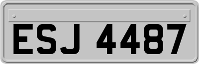 ESJ4487