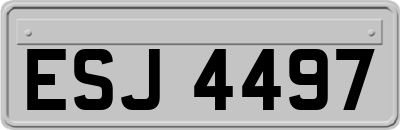 ESJ4497