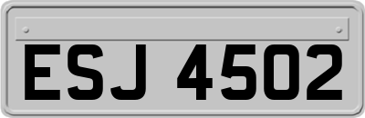 ESJ4502