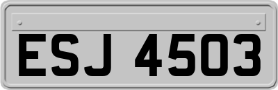 ESJ4503