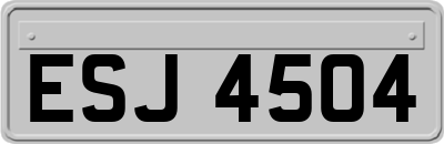ESJ4504
