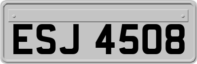 ESJ4508