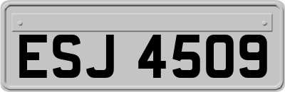 ESJ4509