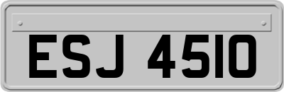 ESJ4510