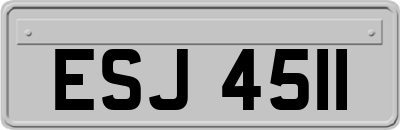 ESJ4511