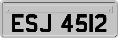 ESJ4512