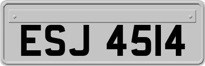 ESJ4514