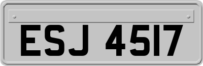 ESJ4517