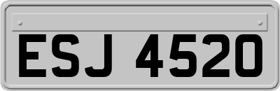 ESJ4520