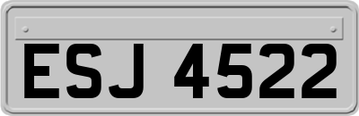 ESJ4522