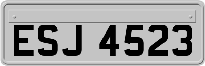 ESJ4523