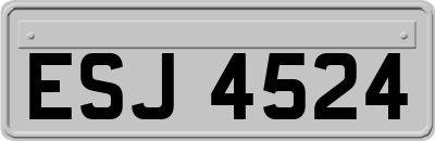 ESJ4524