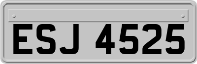 ESJ4525
