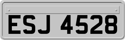 ESJ4528