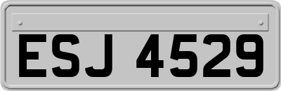 ESJ4529