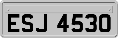 ESJ4530