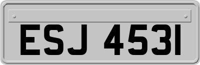 ESJ4531