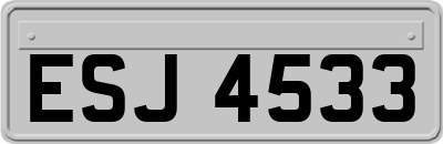 ESJ4533