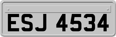 ESJ4534