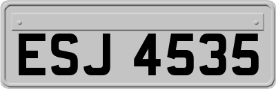 ESJ4535