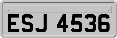 ESJ4536