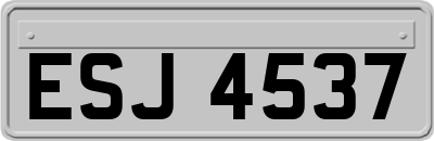 ESJ4537