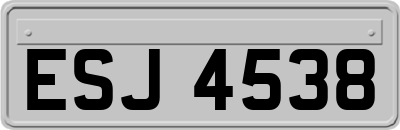 ESJ4538
