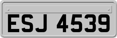 ESJ4539