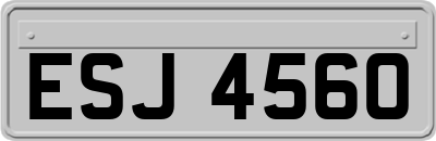 ESJ4560