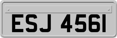 ESJ4561