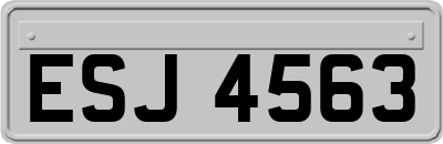 ESJ4563