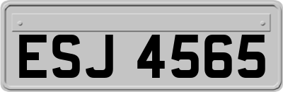 ESJ4565