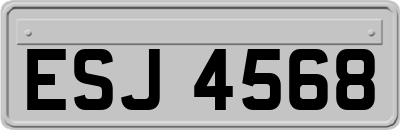 ESJ4568