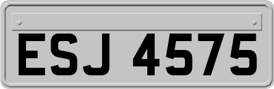 ESJ4575